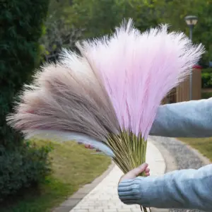 S5ab2bcf2328341c2b41c6adaab63cef1Q