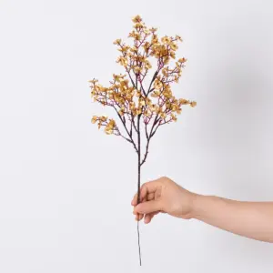 S5ae20aa90d9148febd84ec1b2097ff73O