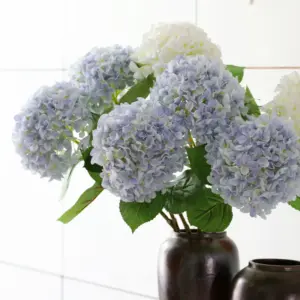 S5b2226ec2019462d8681bfa5041e2db1A