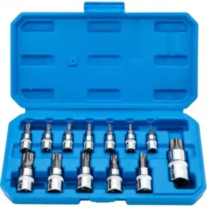 13-Piece High-Torque Torx Bit Set with Case 13 S5d310a278d6644f7b828565d9c7b2725A
