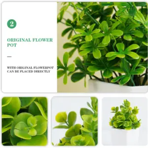 S5d7be0b6b48f4d67a1c1b57c23f27616d