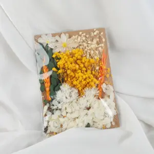 S5e0563dd1d594368a878058f696da298L