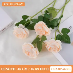 S5e2f4e1d2c574dfeb0f08ceccc2eb6b9R