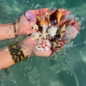 S5ed0502909be44b4b893b48f784bcd40B