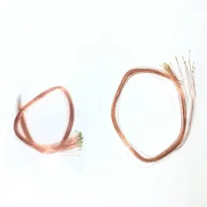 S5f5f6d59bb7d4cf1bf6ae6b3718c4cfew