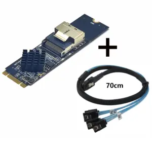 M.2 NVMe to Mini SAS SFF-8087 Expansion Card