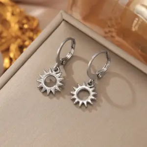 Stainless Steel Hoop Earrings Collection 11 S60b512c1e5134ae68ac62747e00a1601p