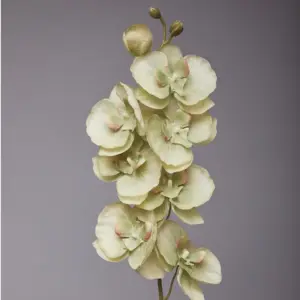 S623d5204dde341cea6dc5a93adfd613cw