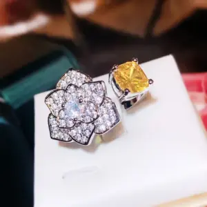 S629b55ea0f9d4271b6e2639a3d2b8c12m