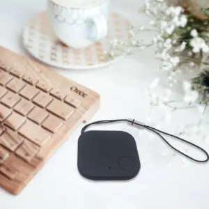 S629d233b3d5c4aa59a8ce94084818ac9t