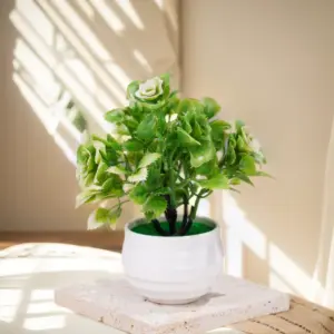 S62a1ce9c377546c38576c1ae4266f4aet