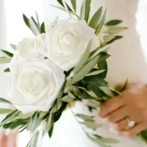 S62f6e123142e406cae14a56a6be7dca3Y