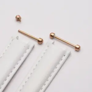 Stainless Steel Watch Screw Rod Set-4 Sizes 14 S6384f1dc8e2349049c3f39d1ed0d5b66L