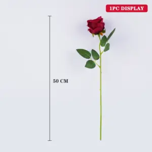 S65dc4679cebc4e20a968ea6d1a6879986