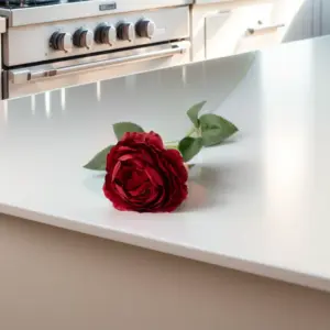 S65f4de83398d47f188227293500479168