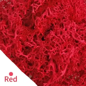 S66644e5f4dac45bfa3bc94f82282c0e8H 5