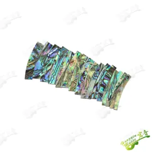 S66fd0706ea4644b2886033cc3dcba951A