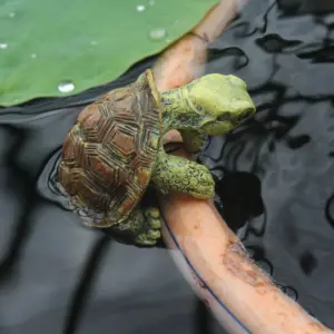 S6704c78685654a29af02c06fb7337841B