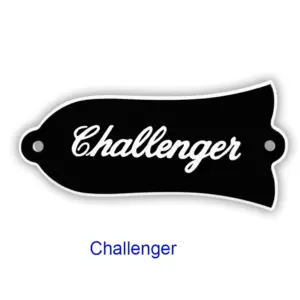 Guitar Pick-Shaped Sticker Set with Text 12 S69155951f2bf4652a539e770580d3a33r