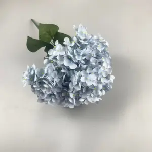 S69997d2ba9534cad99edd3962dc572444