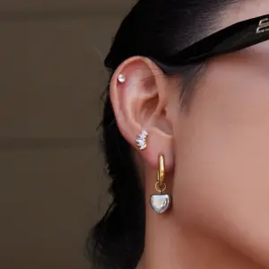 Stainless Steel Gold and Silver Earrings 8 S6a759192815047edad226bd8eae1074fr