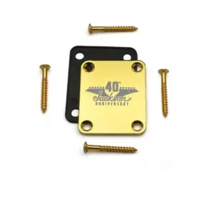 Jackson 40th Anniversary Neck Plate in Silver 7 S6a9599992196458589fd9bd761b57236z