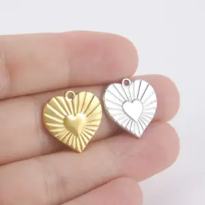 Heart-Shaped Stainless Steel Charms Collection 14 S6aa92d0b0fdc429aaa648e00298d8f804