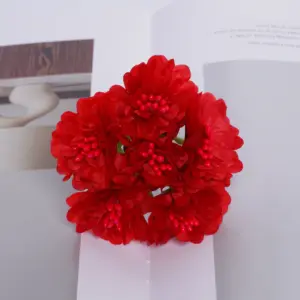 S6b2d0cb472804ce7a2ee93a83e6df0a0t