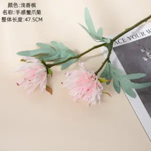 S6be46c26c3e2468da176b03080c7fa63y