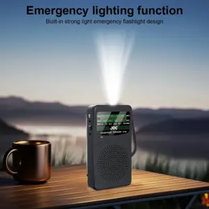 Black Portable Radio with Flashlight 10 S6c4581f4da79408badd503ba05b3c31f2