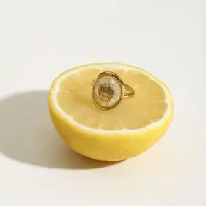 S6c8796f6f0924a45b375950d03b2782eX