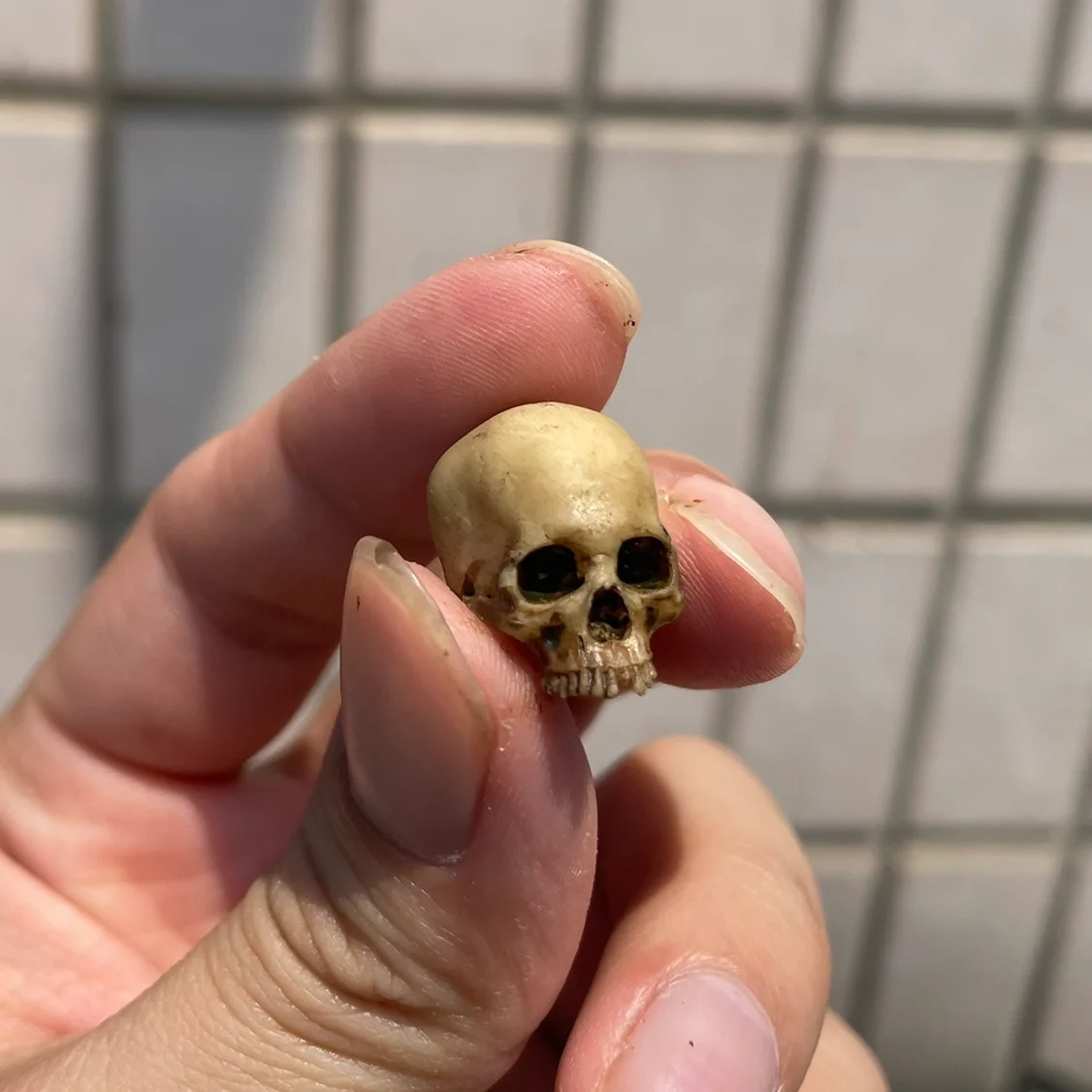 Deformed Alien Skull Miniature Set for Collectors 9 Deformed Alien Skull Miniature Set for Collectors - Image 9