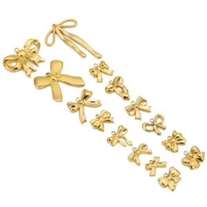 Stainless Steel Bow Knot Charms Set of 5 12 S6dd261633fb04766ac33a776bd667eb6C