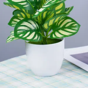 S6df708a132c5471cb18852c2fd987065f