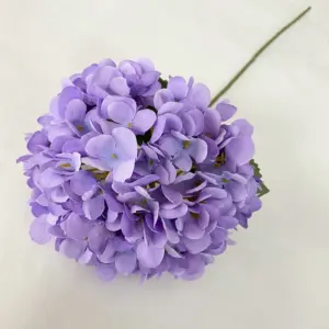 S6e42bd944bd0436b93d161c0602e649eK