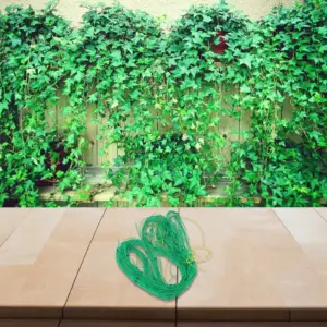 S6ef4457220754f1d8fdbc145340b8d537