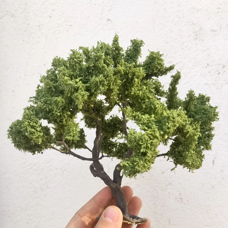 Realistic 15cm Wire Tree Model for Scenery 8 Realistic 15cm Wire Tree Model for Scenery - Image 8