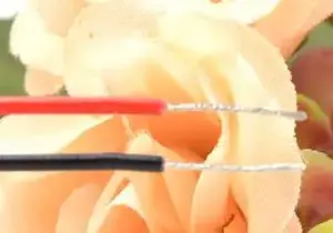 S71153ce7ab214e2587e538fe103737b75