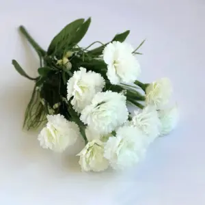 S7160f990b74c4ef491677972d42568e4R