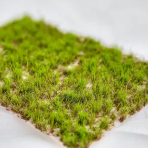 S72009cb5735444c685b3ae0dc690f278E