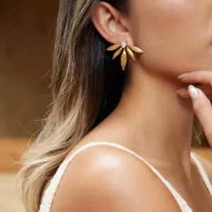 S74ca33eadc8443fda01a18b09e5ea024n