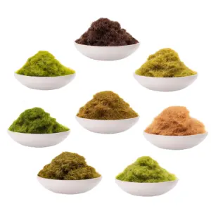 S75c364fa27834002ae96de5aa5b49459O