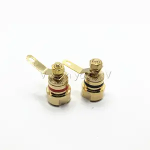 Gold-Plated Copper Speaker Terminals Set 13 S75d70b0665f744faada928e1e2f667d8q