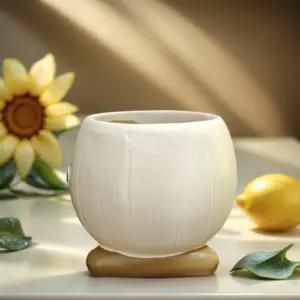 S76421433c5b74737be074f4512d6d1f1i