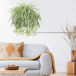 S768d17fe70e649d5a08809d3ef308bfcV