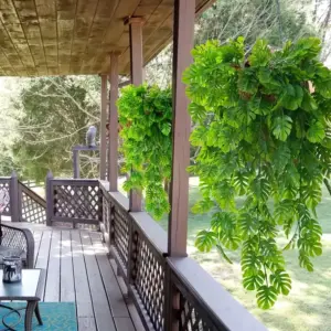 S76ae8db052234c1a9af89df34f48289dq