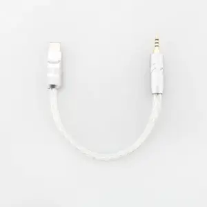 Premium Silver USB-C Audio Cable for HiFi Sound 17 S77371fecee9f4ff7919a1734f7c400500