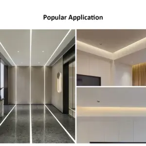 S787d0383eaf24698a281ee4fd6822273c