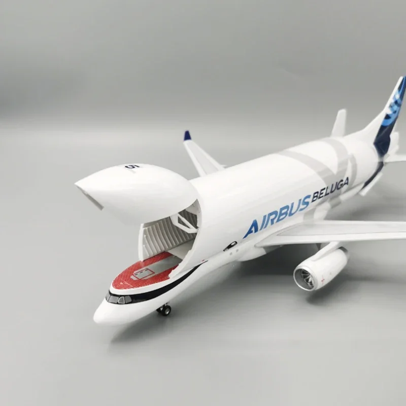 Airbus Beluga A330-743L Model for Collectors 2 Airbus Beluga A330-743L Model for Collectors - Image 2