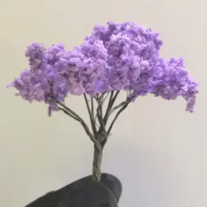 Miniature Wire Tree Set for Dioramas and Models 13 S79a27fd7be894dbeba03ec41438da4955